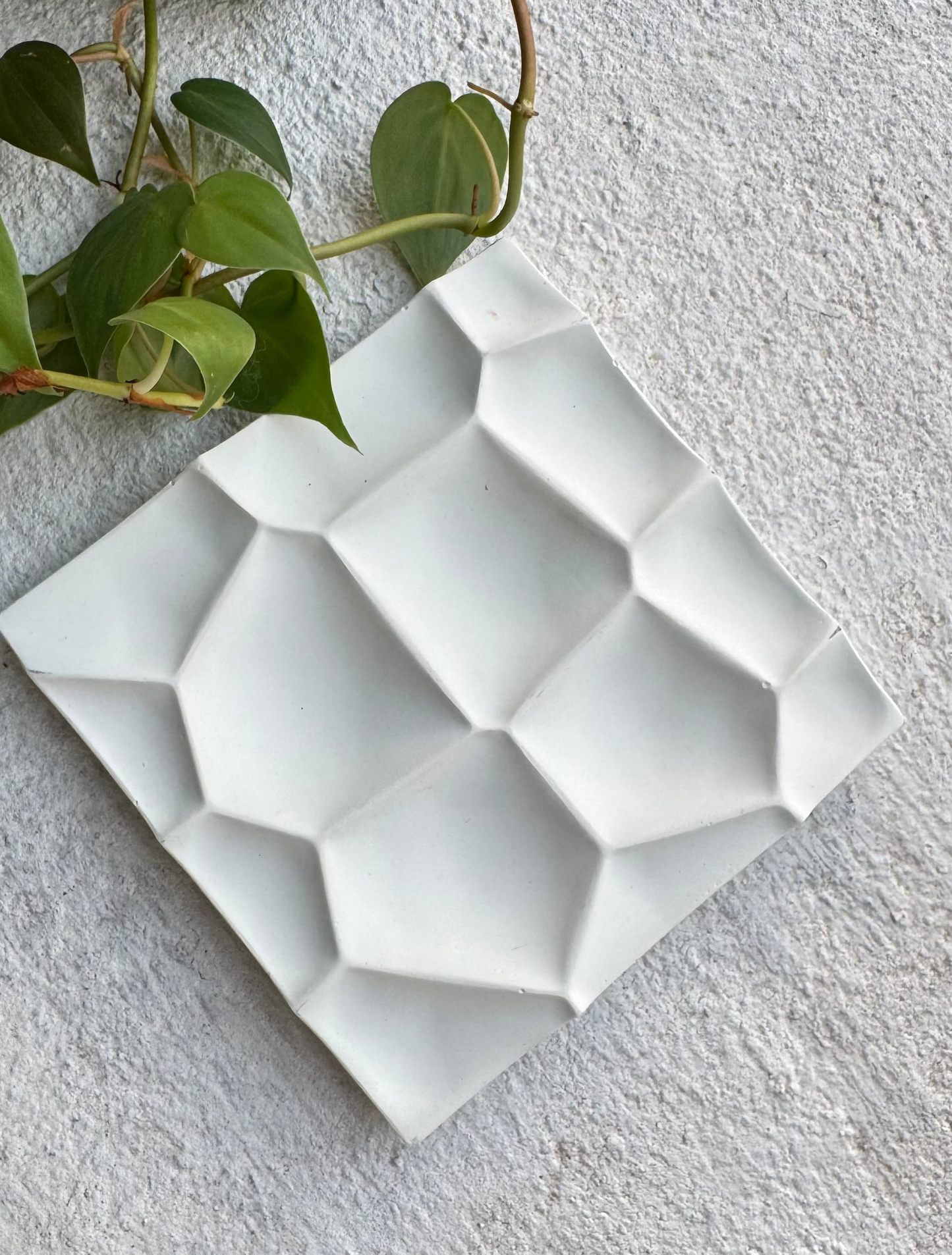 Cella Tray