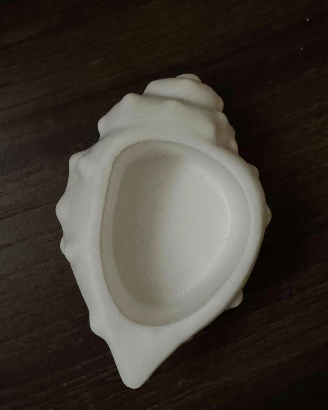 Conch Shell Bowl