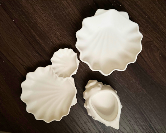 Shell Trio Set