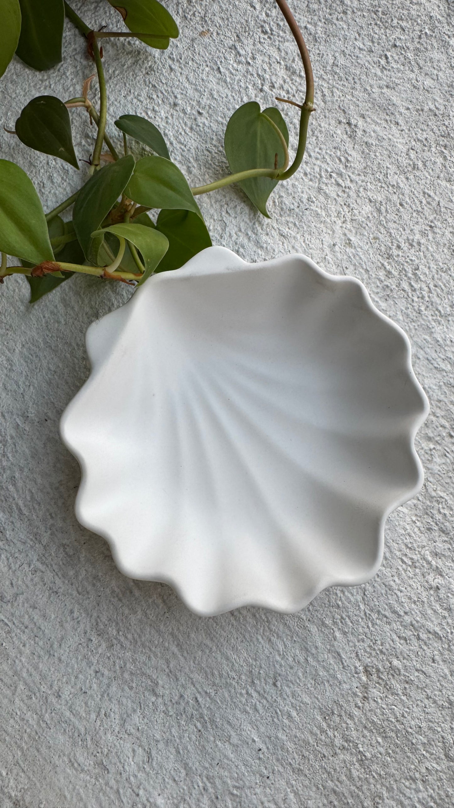 Aura Shell Bowl